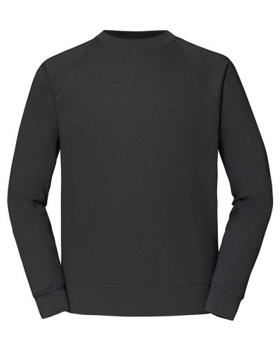 Felpa con maniche raglan Light graphite