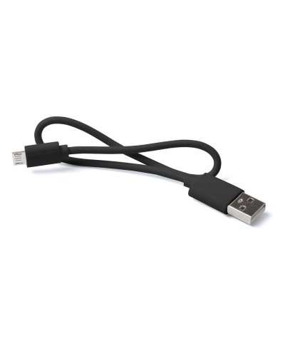Power Bank Lenard