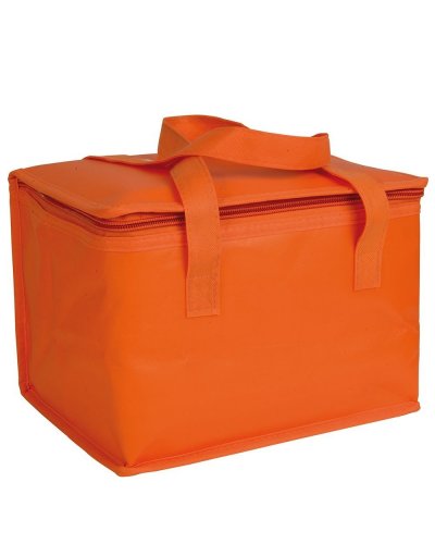 Borsa termica in TNT laminato