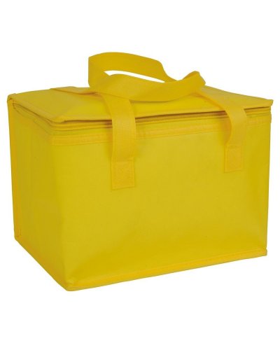 Borsa termica in TNT laminato