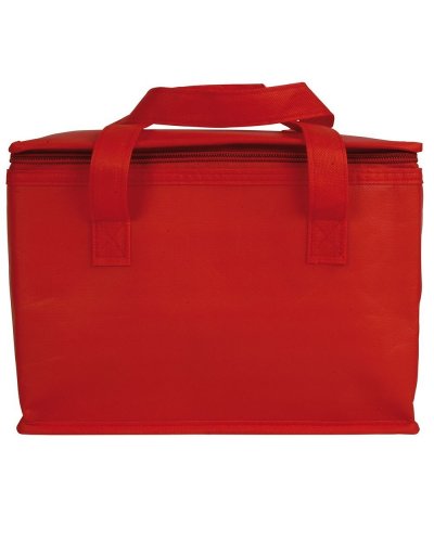 Borsa termica in TNT laminato