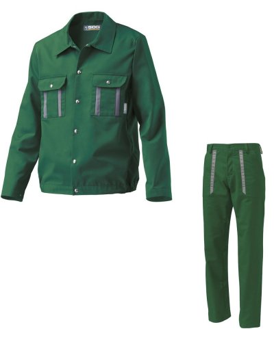 Divisa  New Reno Verde