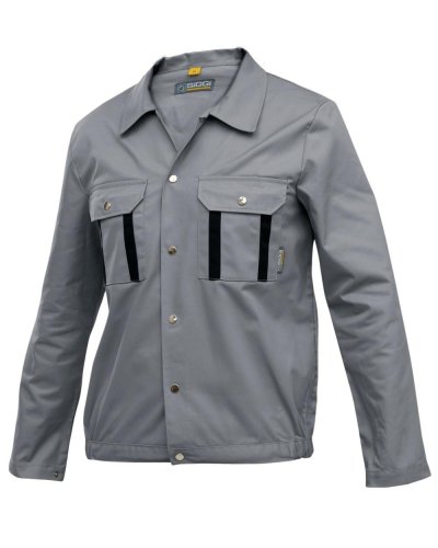 Divisa  New Reno