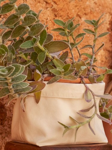 Organizer reversibile in cotone Large  beige multiuso 8L