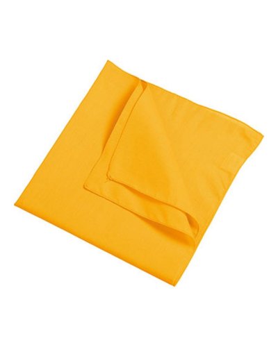 Bandana multicor