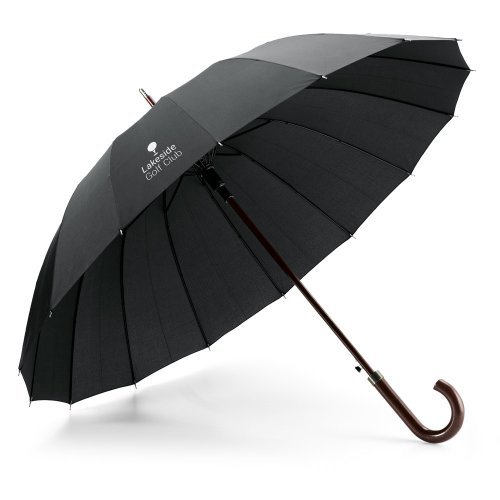 Hedi. regenschirm mit 16 stangen aus 190t-pongee mit automatischer Öff