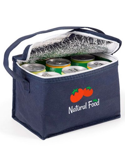 Borsa frigo capienza 6 lattine in TNT 20 x 14 x 13 cm