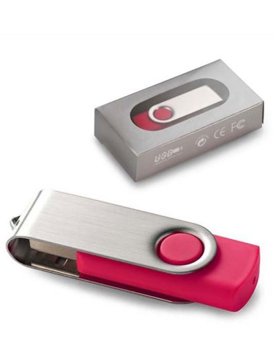 Memoria USB 4Gb