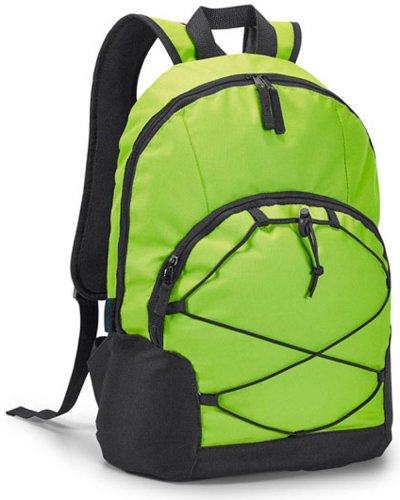 CHAMELEON Zaino porta computer Verde Chiaro