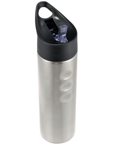 Bottiglia Sport Trixie 750 ml Argento