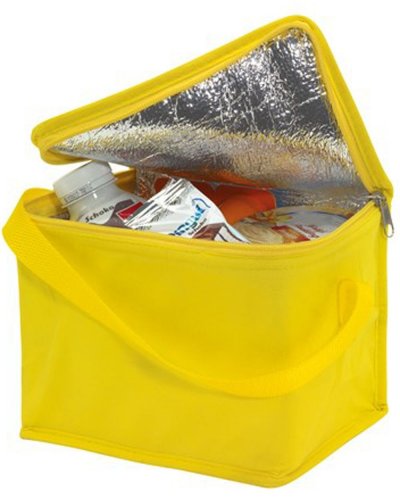 Borsa termica CELSIUS