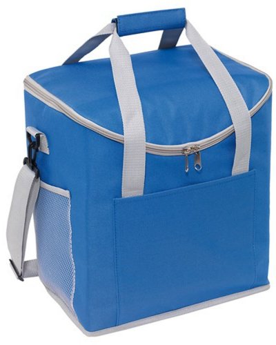 Borsa termica FROSTY Blu / Grigio