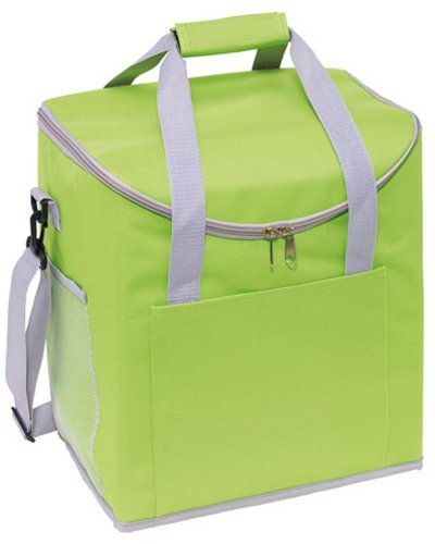 Borsa termica FROSTY Grigio / Verde