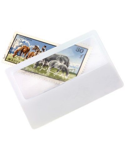 Lente d`ingrandimento SUPPORT Bianco