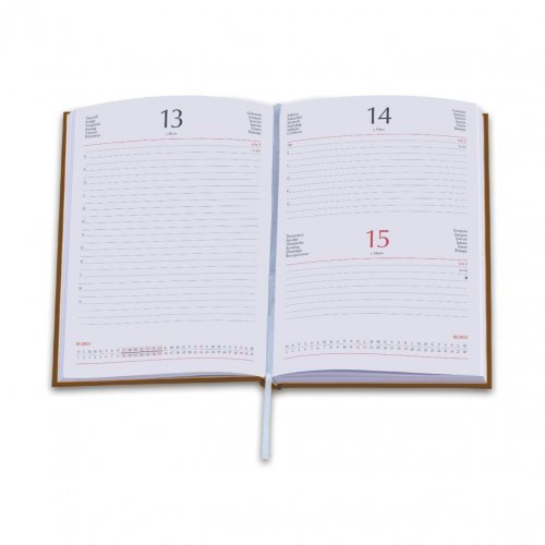 Agenda Giornaliera 11 x 17