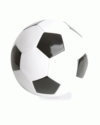 Pallone ufficiale