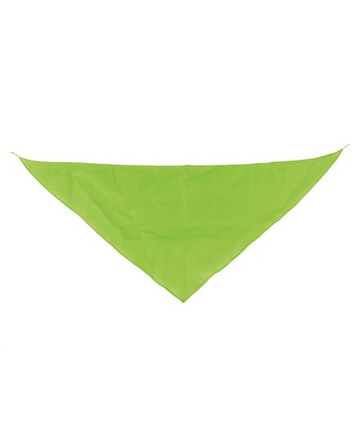 Fazzoletto da collo triangolare Pistacchio