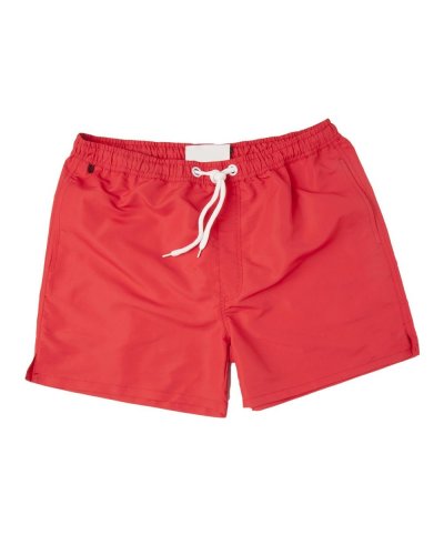 West Coast Boxer Mare Red