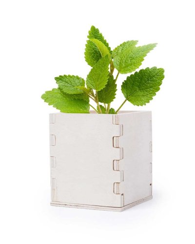 Vaso in legno menta