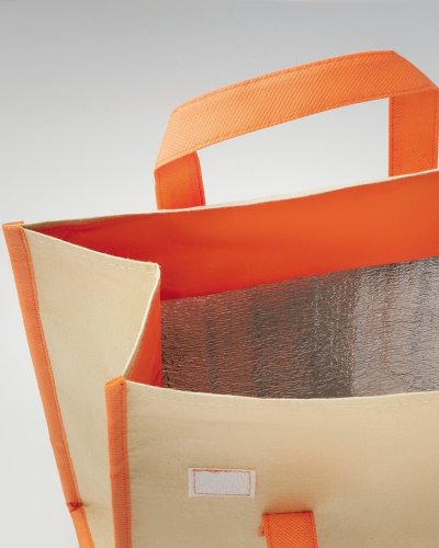 Borsa frigo in carta con rivestimento in alluminio