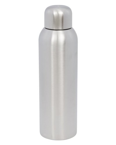 Borraccia sportiva da 820 ml Guzzle Argento