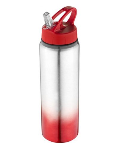 Bottiglia Gradient 740 ml Rosso / argento