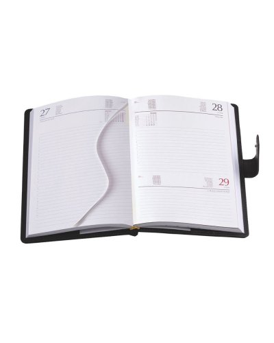 Agenda Giornaliera in PU