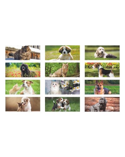 Calendario da tavolo Cani e Gatti