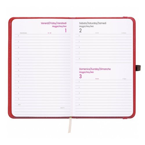 Agenda Giornaliera 2027 in PVC con Elastico e Porta Penna