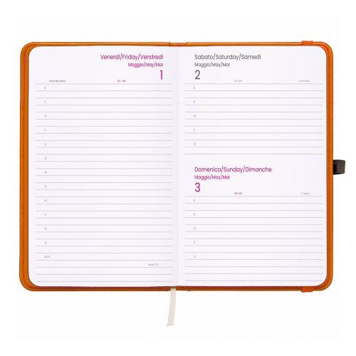 Agenda Giornaliera 2027 in PVC con Elastico e Porta Penna