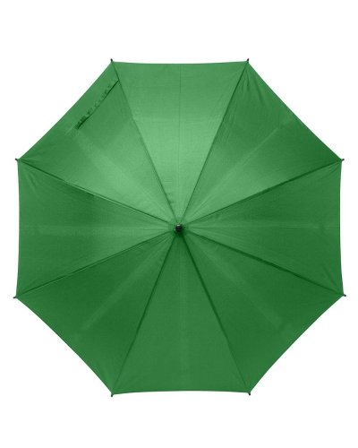 Ombrello automatico in R-PET con manico in bamboo Verde