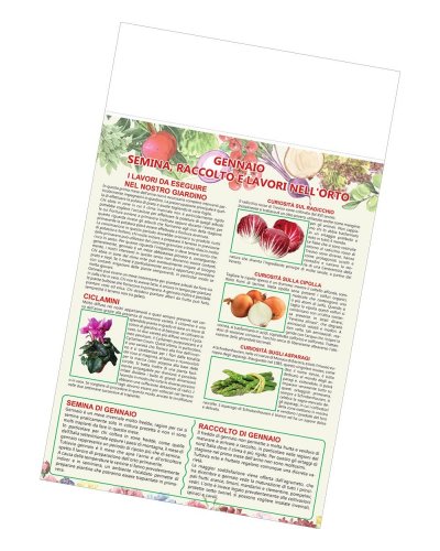 Calendario Orto E Giardino