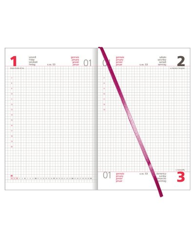 Agenda Madrid Giornaliera Quadrettata 15x21