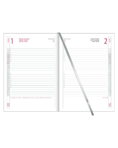 Agenda Giornaliera Nasso 17x24