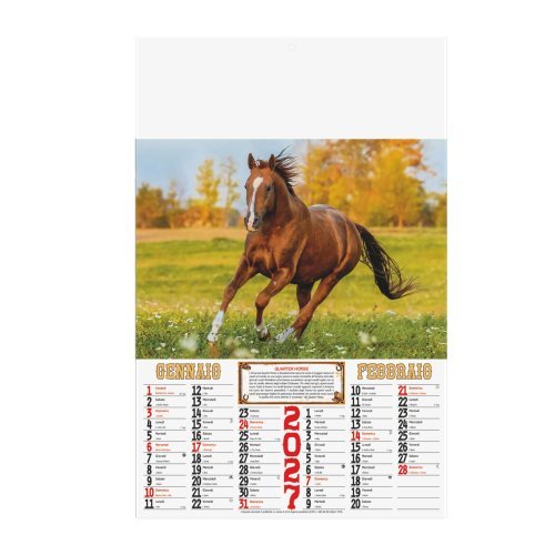 Calendario Cavalli 2027 bimestrale 32x50 cm in carta patinata