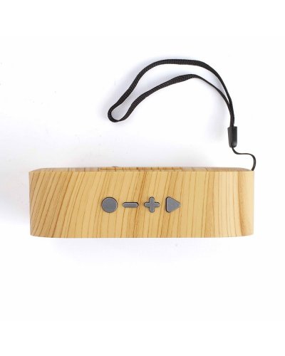 Altoparlante Bluetooth compatibile