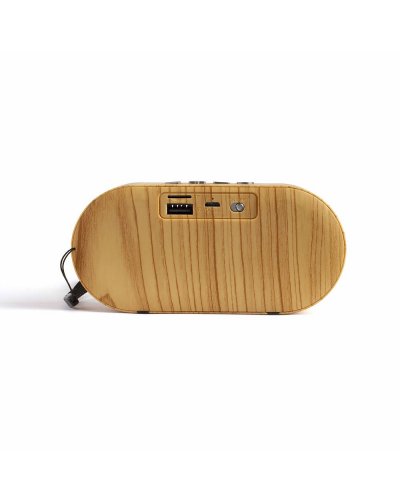 Altoparlante Bluetooth compatibile