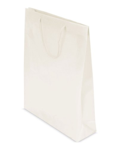 Sacchetto regalo con soffietto in PVC  31 x 39 x 9 cm Ghiaccio