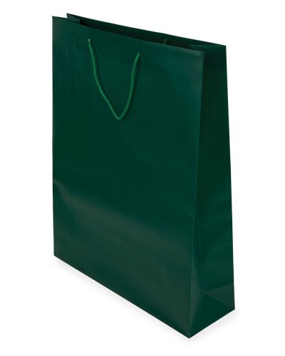 Borsa regalo PVC Verde