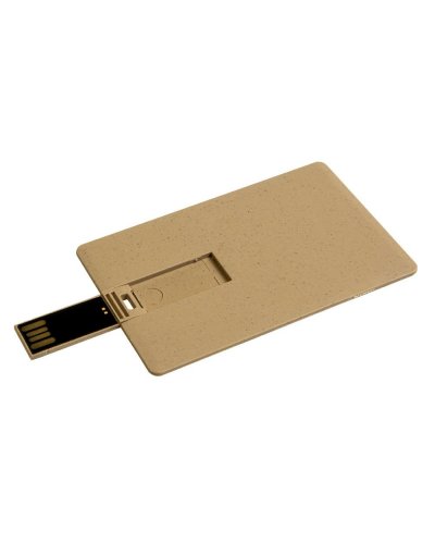 Chiavetta USB 4Gb a forma di tessera