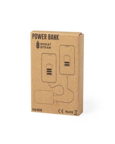 Power Bank Shiden