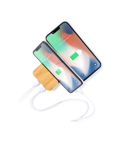 Power Bank Dralia