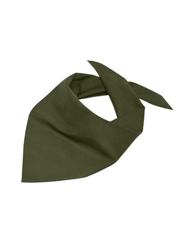 Triangular Scarf Olive