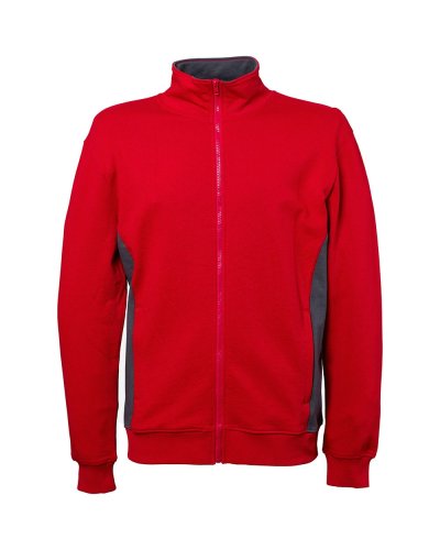 Felpa con collo a lupetto Minnesota Red / Grey