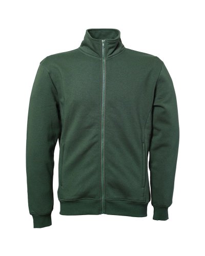 Felpa con collo a lupetto Indiana Green