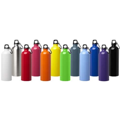 Borraccia da 750 ml in acciaio inossidabile