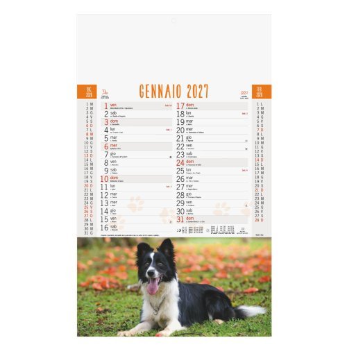 Calendario Cani e Gatti Trimestrale 12 fogli