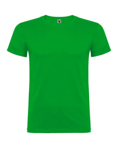 T-shirt Beagle Verde Prato