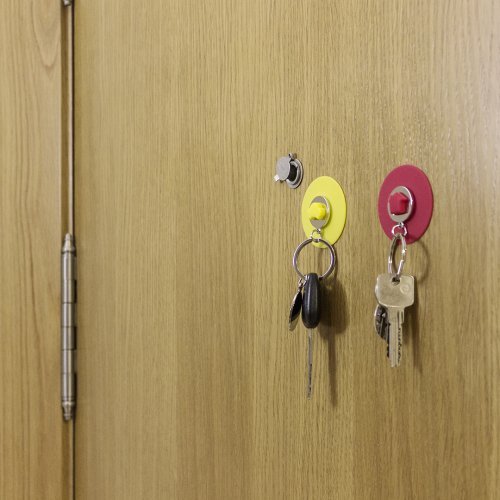 Portachiavi gettone coltax