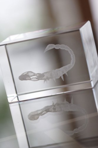 Bloc en verre macon